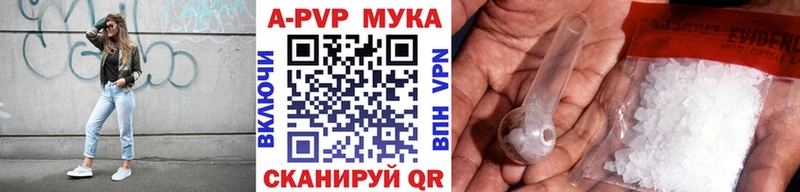 Альфа ПВП СК КРИС Пошехонье