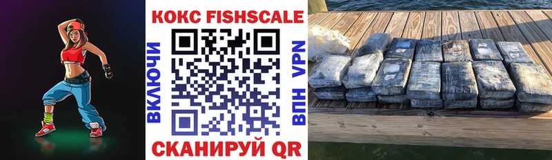 Cocaine FishScale  цены наркотик  Пошехонье 