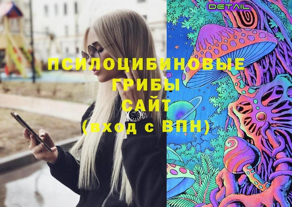 spice Аркадак